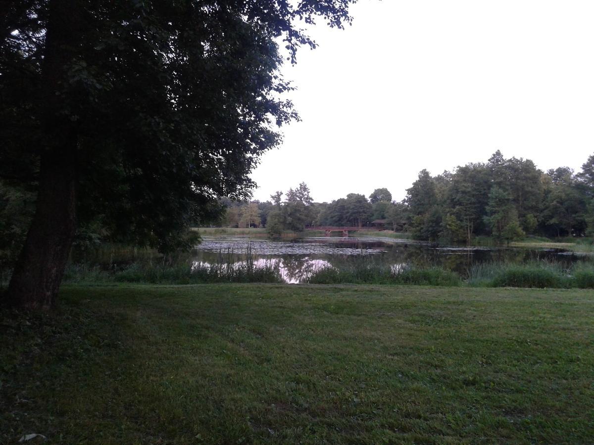 Cztery Pory Roku Guest House Bialowieza Exterior photo